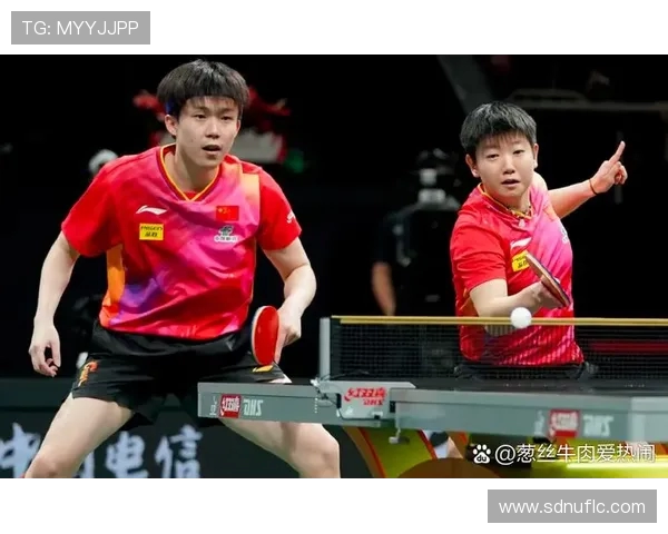 乒乓球盛宴：深入解析杭州乒乓球队的默契配合与战术策略