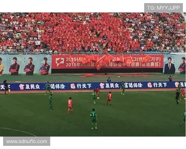 北京排球队在联合会杯中的速度表现分析与点评