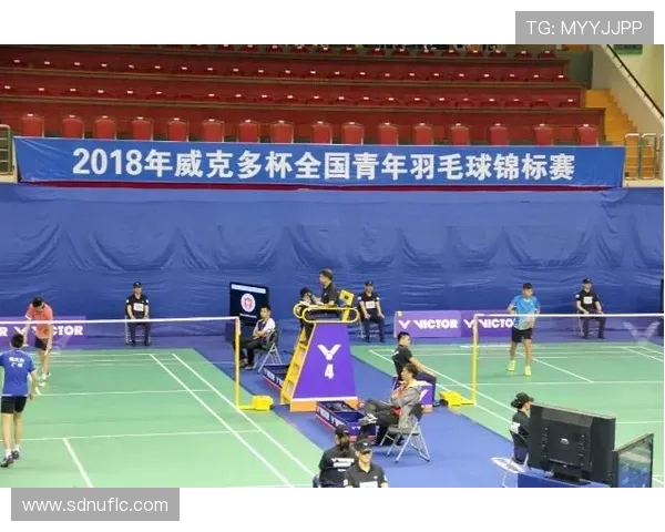 南京羽毛球队逆袭之旅揭示团队精神与奋斗历程的传奇故事