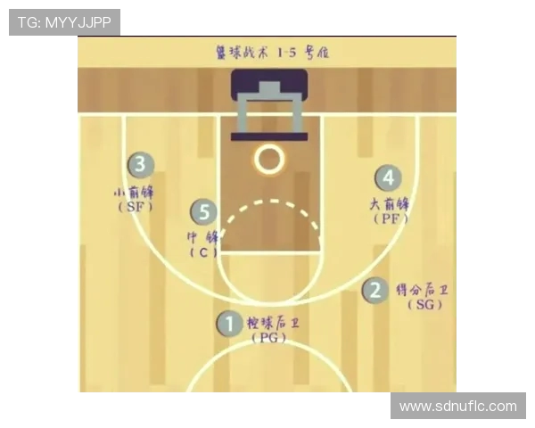 西安篮球队反击体系解析：高效战术与快速转换的完美结合