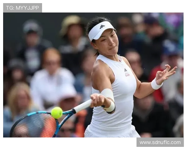 西安网球队荣登全国网球状态排行榜第十位展现强劲实力 西安网球队荣登全国网球状态排行榜第十位展现强劲实力