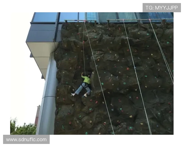 重庆攀岩队意识表现的数据分析与提升策略研究 重庆攀岩队意识表现的数据分析与提升策略研究