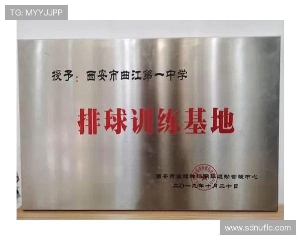 重庆排球队与西安排球队比赛经验深度解析与反思 重庆排球队与西安排球队比赛经验深度解析与反思